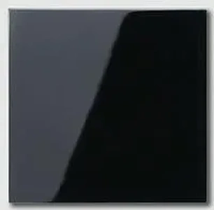 Изображение Заглушка с опорной пластиной A500 черный глянцевый A594-0SW Jung