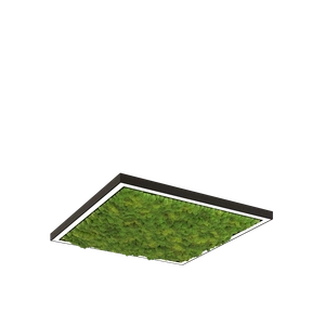 Изображение Глоу Мосс квадрат накладной