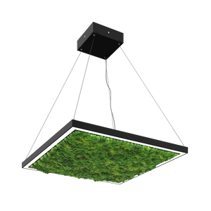 Изображение Глоу Мосс квадрат подвесной